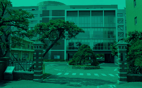 新潟大学サイトの情報の画像